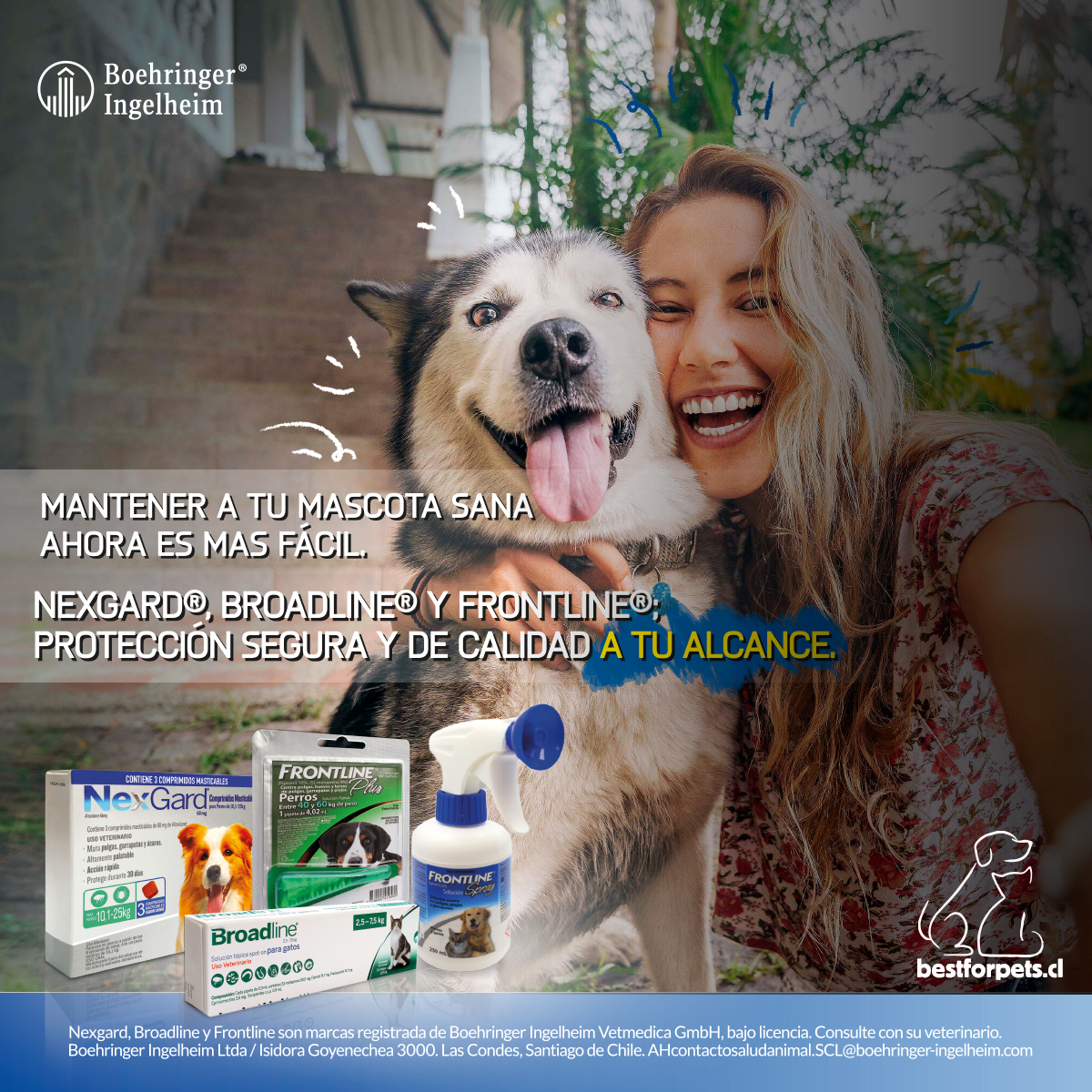 PromoAntiparasitarios para mascotasciones y descuentos | Best for Pets