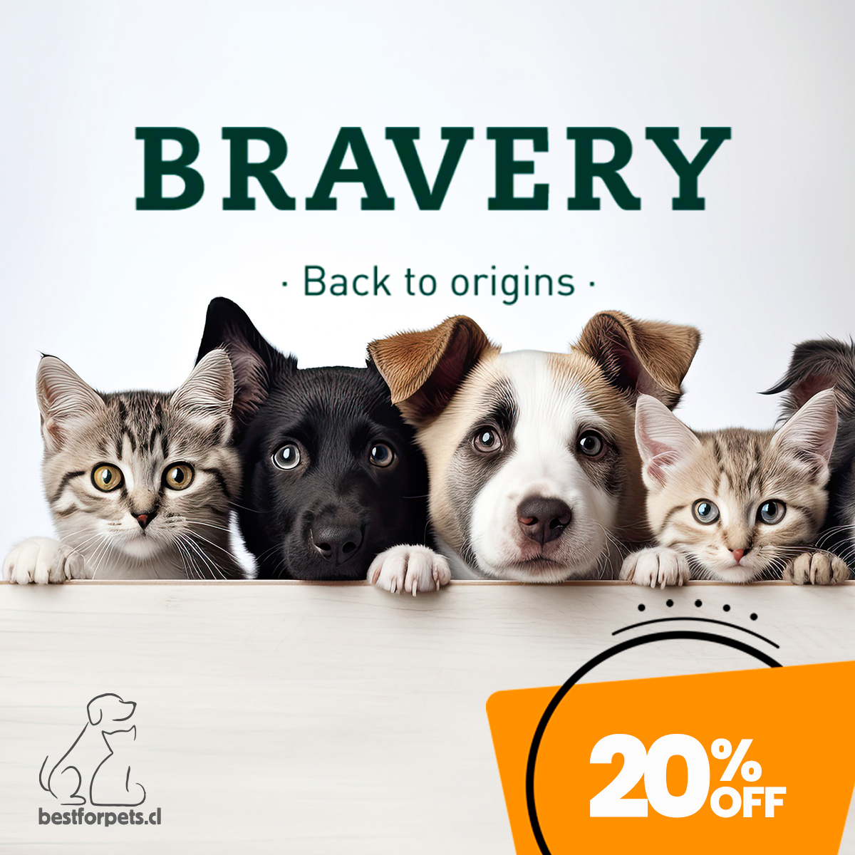 20% de descuento en los alimentos Bravery | Best for Pets