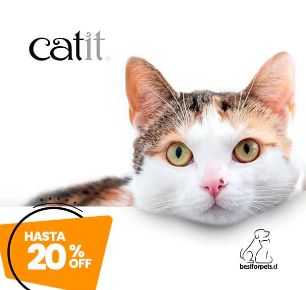 Hasta 20% de descuento en todos los accesorios Catit para gatos | Best for Pets