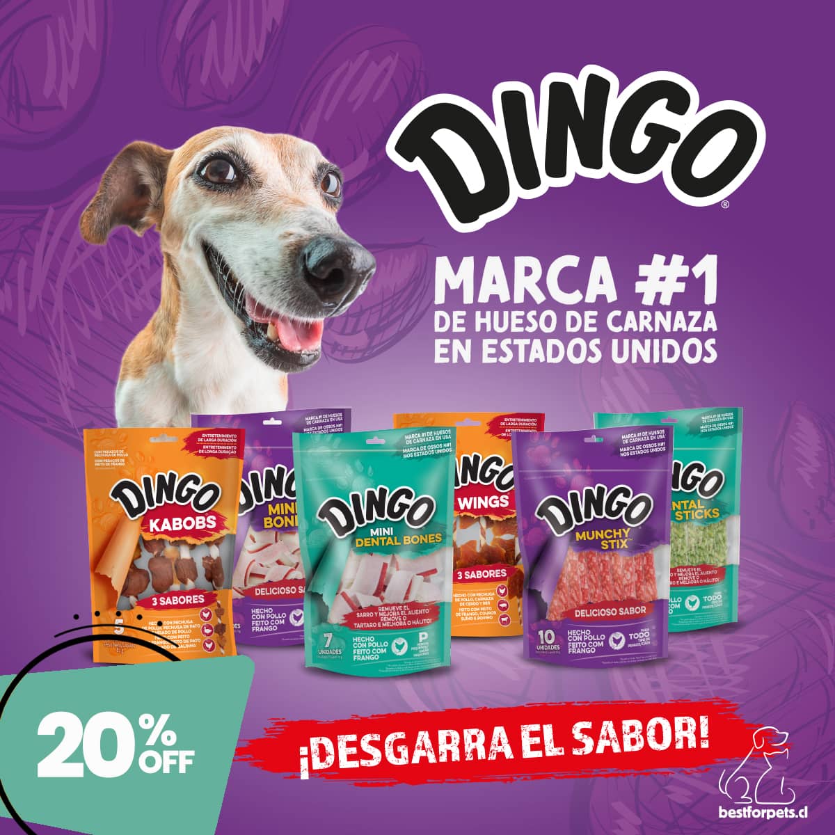 20% de descuento en los snacks DINGO para perros | Best for Pets