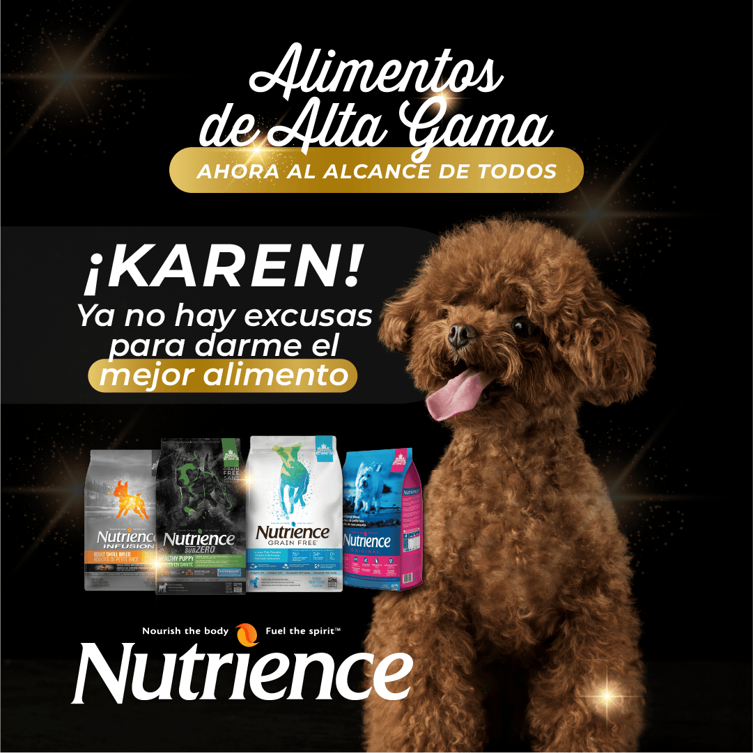 Alimentos Nutrience para perros | Best for Pets 
