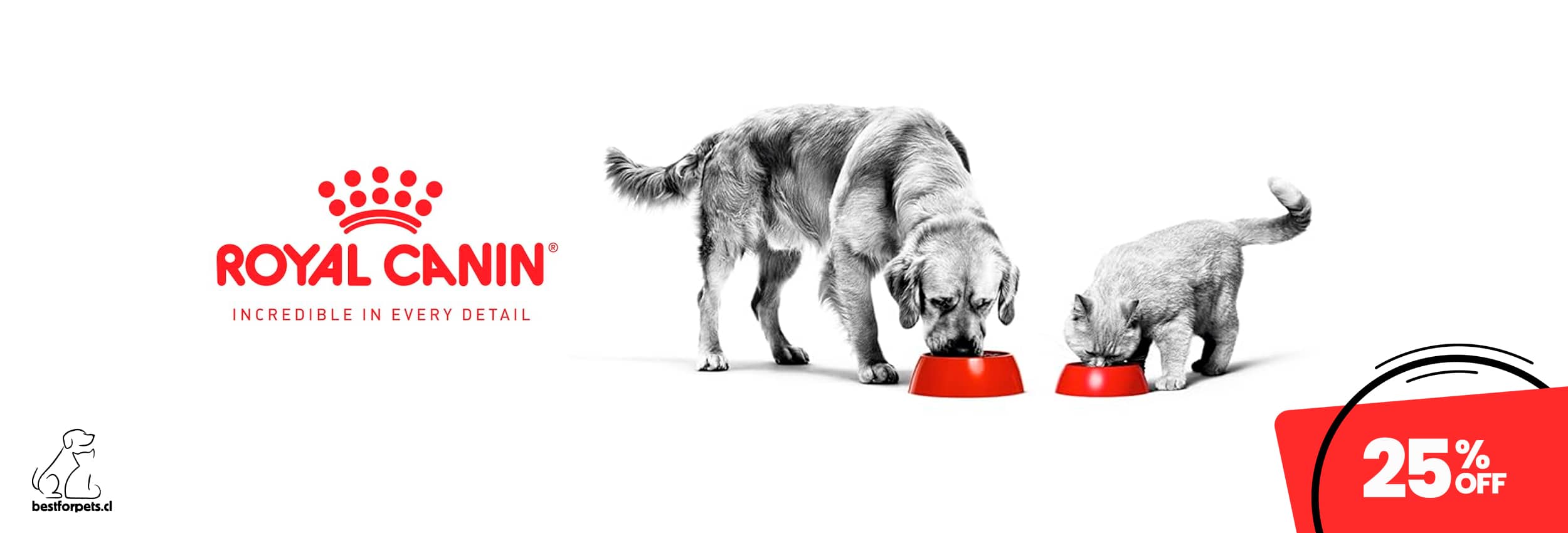 25% de descuento en alimentos Royal Canin | Best for Pets