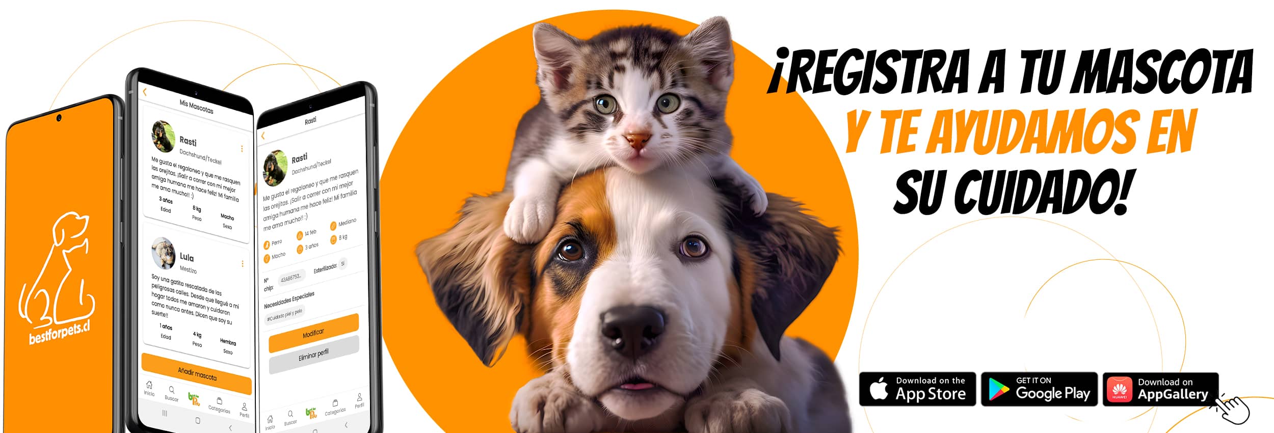 APP | Best for Pets