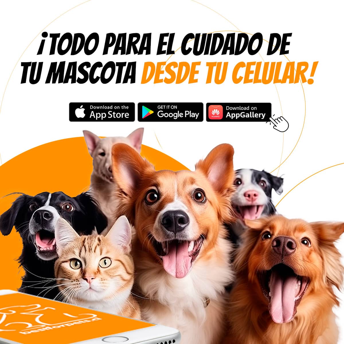 Descarga hoy nuestra APP | Best for Pets 