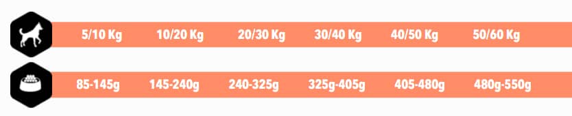 AMITY PREMIUM SALMON & RICE 