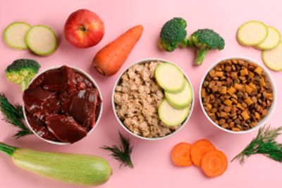 Proteínas y Salud Renal en mascotas