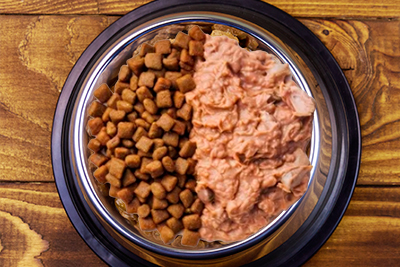 La Alimentación Mixta para perros