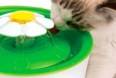 Fuente para gatos Catit Flower Fountain