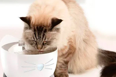 Fuente para gatos Catit Pixi