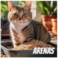 Arena para gatos | Best for Pets