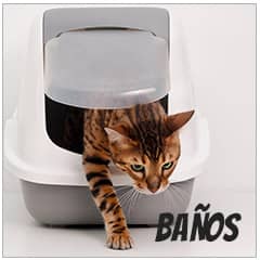 Ba&ntilde;os y bandejas sanitarias para gatos | Best for Pets