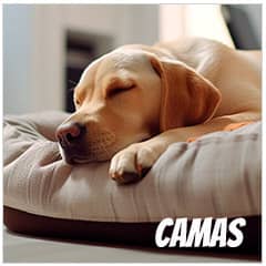 Camas para perros | Best for Pets