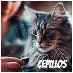  Cepillos para gatos | Best for Pets