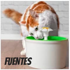 Fuentes de agua para gatos | Best for Pets