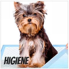 Sabanillas orientadoras para perros | Best for Pets