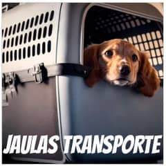 Jaulas de transporte para perros | Best for Pets
