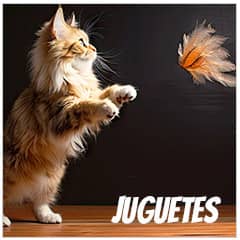 Juguetes para gatos | Best for Pets