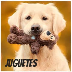 Juguetes para perros | Best for Pets