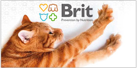 Brit Care para gatos