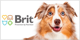 Brit Care para perros