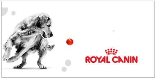 Royal Canin para perros