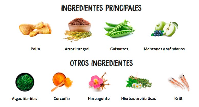 OWNAT CARE MOBILITY (DOG)