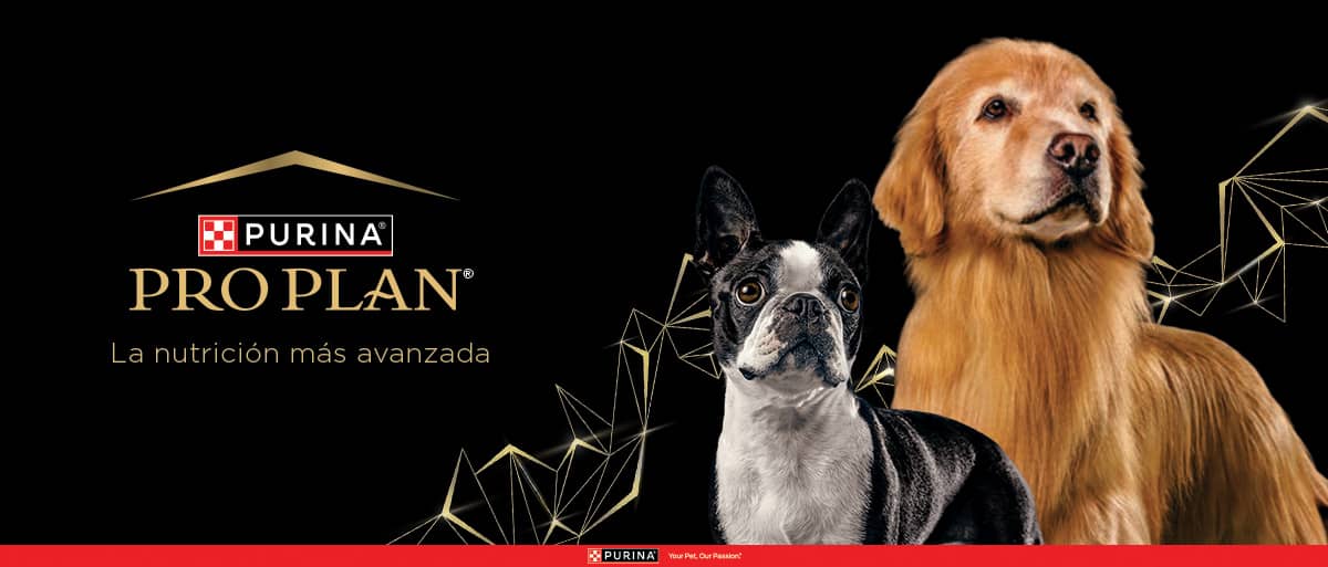 PURINA&reg; PRO PLAN&reg; | Alimentos Para Perros | Best For Pets