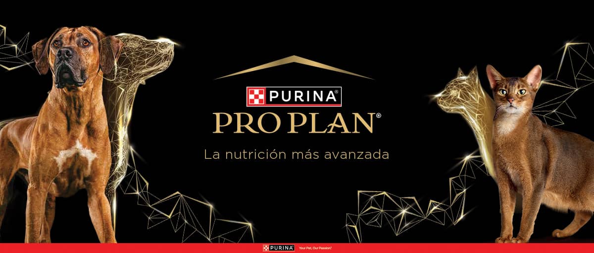 PURINA&reg; PRO PLAN&reg; | Alimentos Para Perros y Gatos | Best For Pets