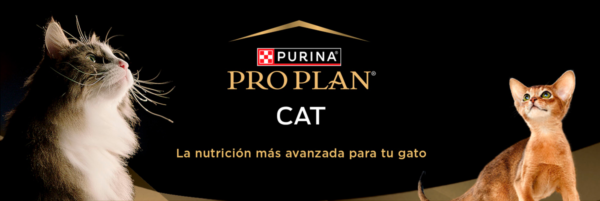 PURINA&reg; PRO PLAN&reg; | Alimentos Para Gatos | Best For Pets