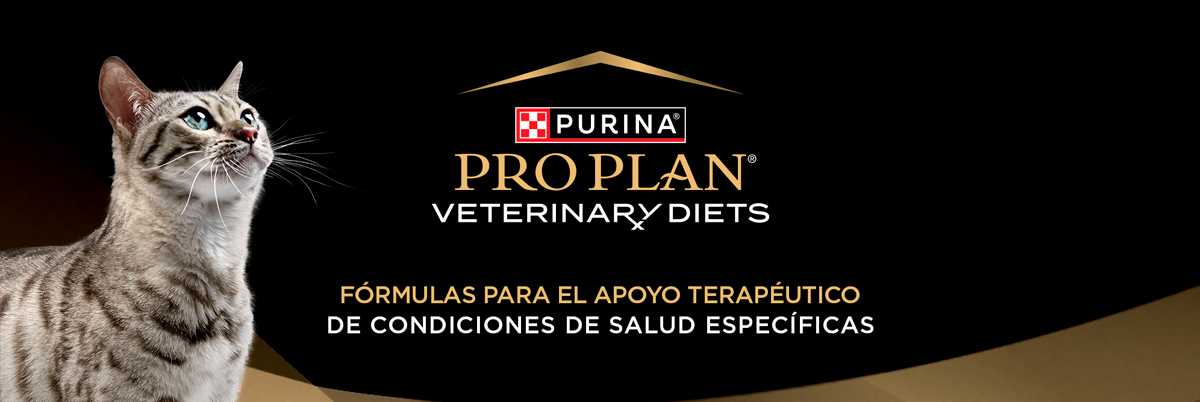 PURINA&reg; PRO PLAN&reg; | Alimentos terape&uacute;ticos para gatos | Best for Pets