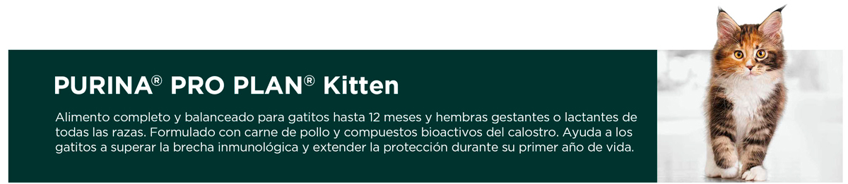 PURINA&reg; PRO PLAN&reg; Kitten | Best for Pets