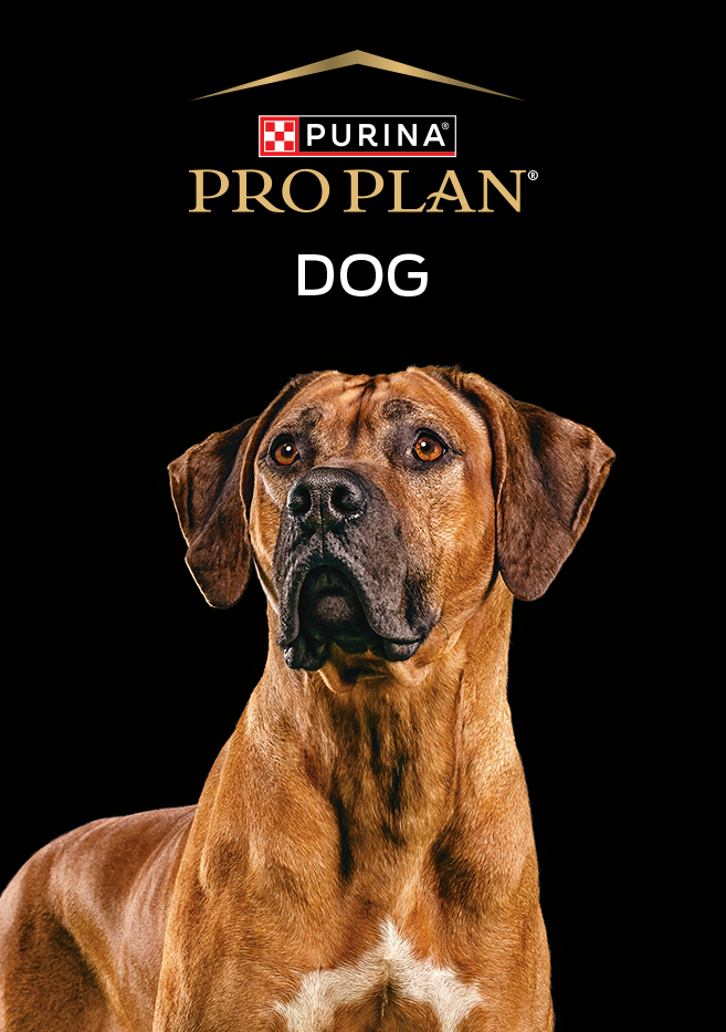 PURINA&reg; PRO PLAN&reg; | Alimentos Para Perros | Best For Pets