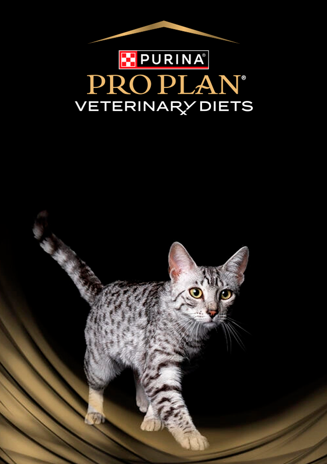 PURINA&reg; PRO PLAN&reg; | Alimentos Medicados Para Gatos | Best For Pets
