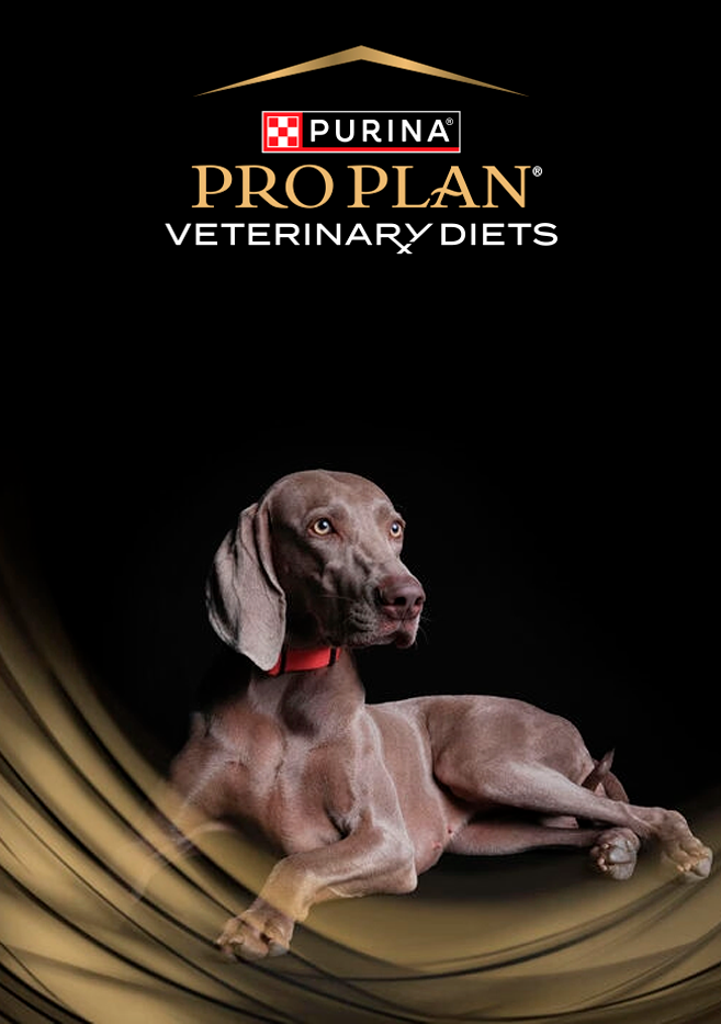 PURINA&reg; PRO PLAN&reg; | Alimentos Medicados Para Perros | Best For Pets