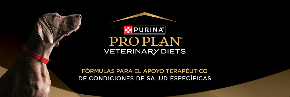 PURINA&reg; PRO PLAN&reg; | Alimentos terape&uacute;ticos para perros | Best for Pets