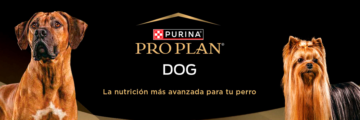 PURINA&reg; PRO PLAN&reg; | Alimentos Para Perros | Best For Pets