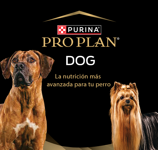 PURINA&reg; PRO PLAN&reg; | Alimentos Para Perros | Best For Pets