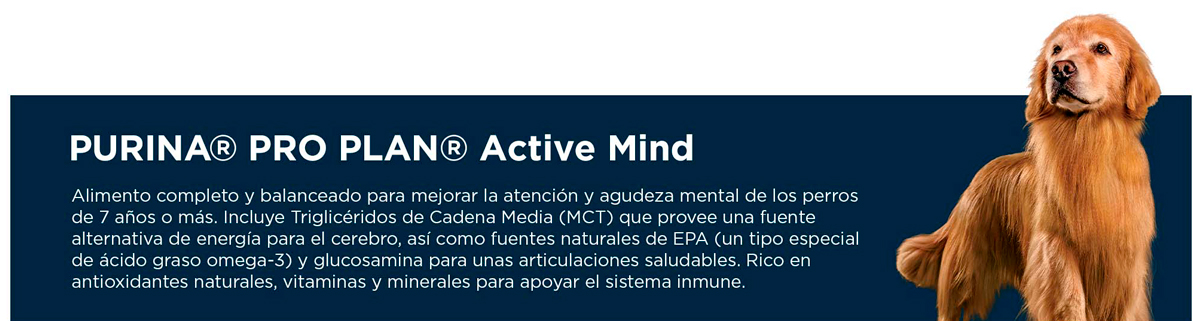 PURINA&reg; PRO PLAN&reg; Active Mind | Best for Pets