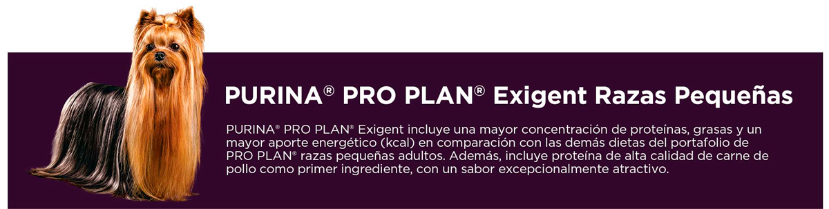 PURINA&reg; PRO PLAN&reg; Exigent Razas Peque&ntilde;as | Best for Pets