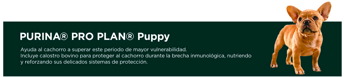 PURINA&reg; PRO PLAN&reg; Puppy | Best for Pets
