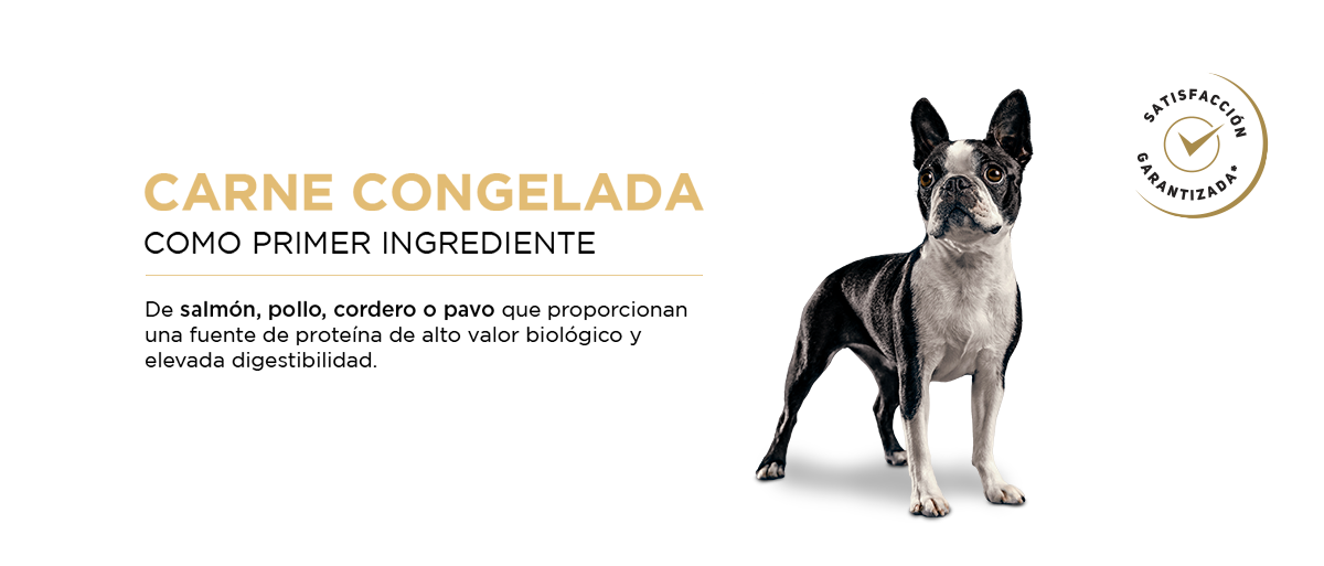 PURINA&reg; PRO PLAN&reg; | Carne congelada como 1er ingrediente | Best For Pets