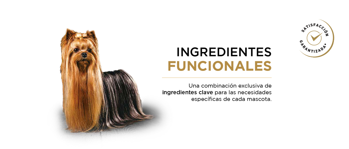 PURINA&reg; PRO PLAN&reg; | Ingredientes funcionales | Best For Pets