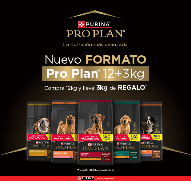 PURINA&reg; PRO PLAN&reg; | Alimentos Para Gatos | Best For Pets