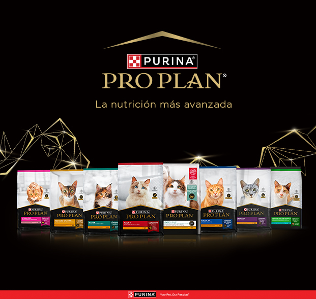 PURINA&reg; PRO PLAN&reg; | Alimentos Para Gatos | Best For Pets