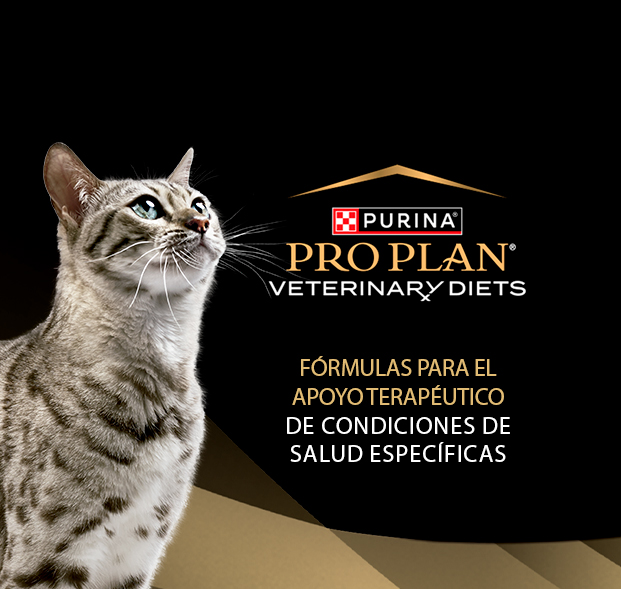 PURINA&reg; PRO PLAN&reg; | Alimentos terape&uacute;ticos para gatos | Best for Pets