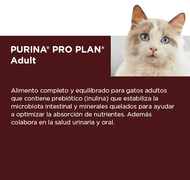 PURINA&reg; PRO PLAN&reg; Adult Cat | Best for Pets