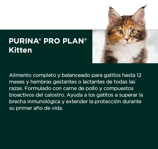 PURINA&reg; PRO PLAN&reg; Kitten | Best for Pets