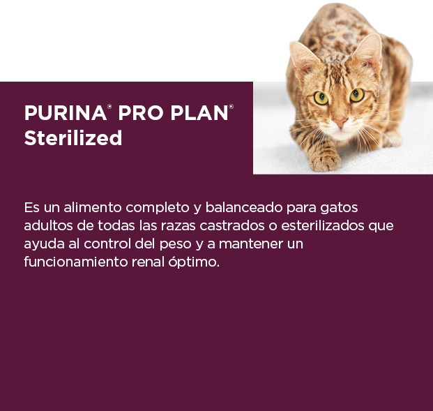 PURINA&reg; PRO PLAN&reg; Sterilized | Best for Pets