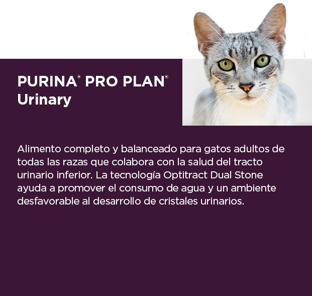 PURINA&reg; PRO PLAN&reg; Urinary  | Best for Pets