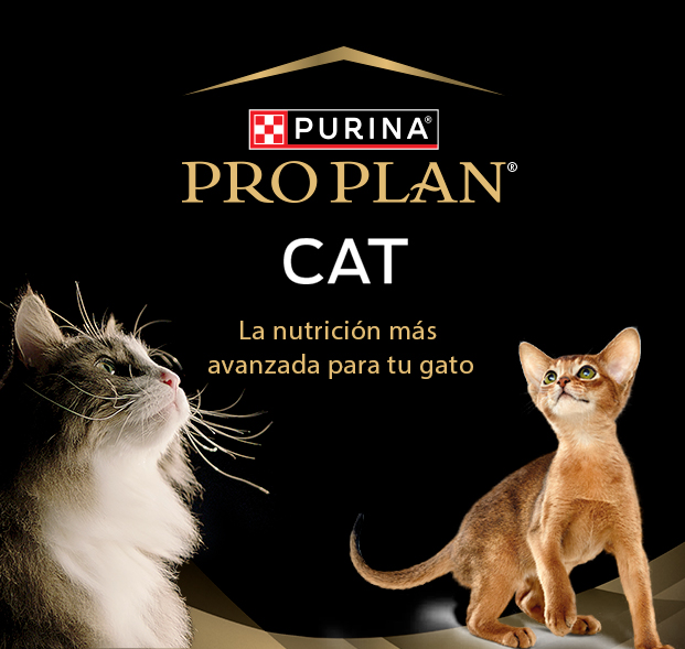 PURINA&reg; PRO PLAN&reg; | Alimentos Para Gatos | Best For Pets